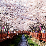 10 điểm du lịch hấp dẫn nhất tại Hàn Quốc